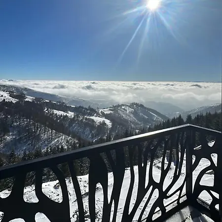 Golija Peak Apartment *