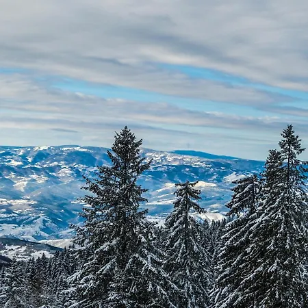Apartment Golija Peak Kopaonik