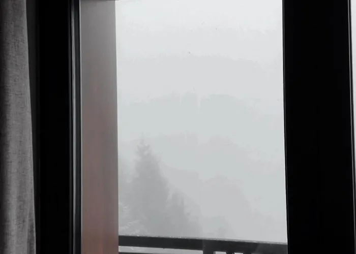 公寓 Golija Peak *