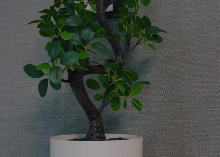 Golija Peak 公寓 *