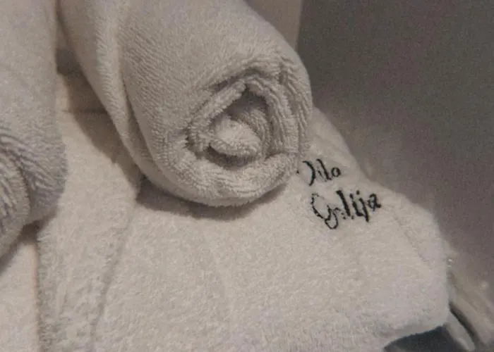 公寓 Golija Peak *